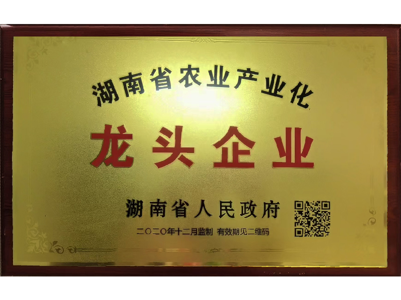 岳陽市漁之源食品有限公司,岳港漁都,洞庭魚港,散稱系列,田螺系列,臭豆腐加工，香豆腐加工，烤脖加工，魚仔,鴨排加工、雞丁加工代加工